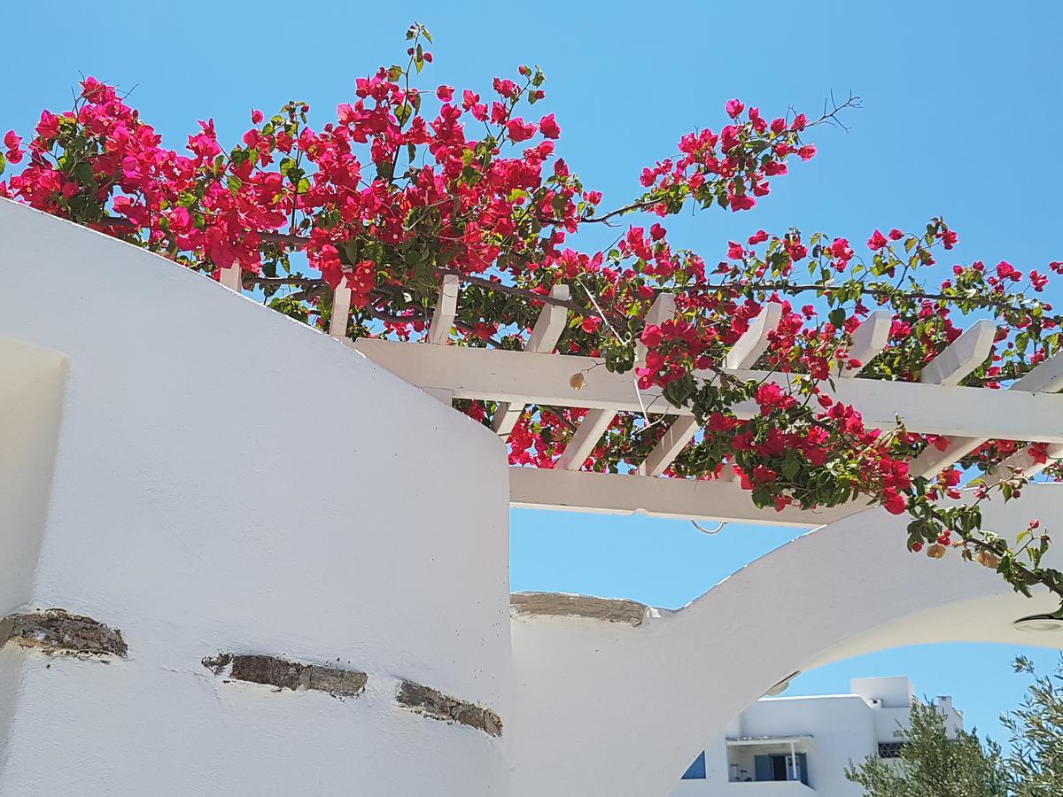 Aparthotel Kastro Antiparos Town Exterior foto